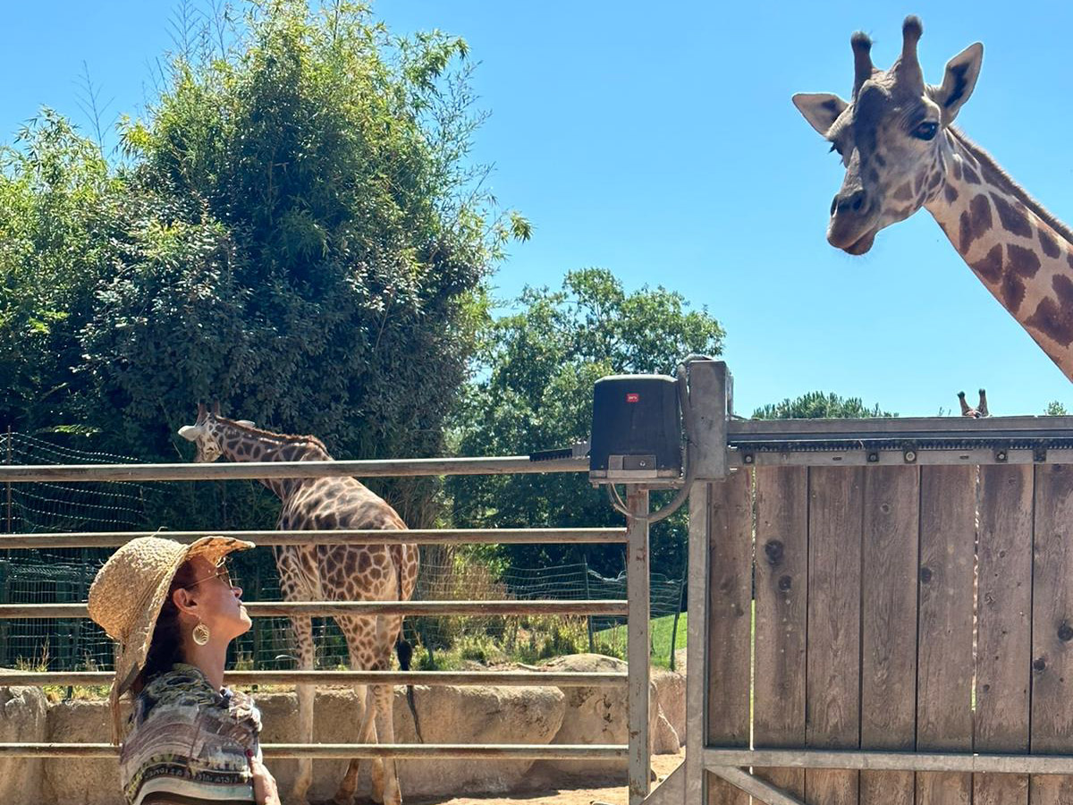 #GiraffeIsNow