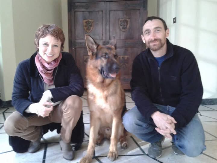 Il Commissario Rex_Rai Due